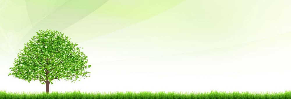 サンプルサイト